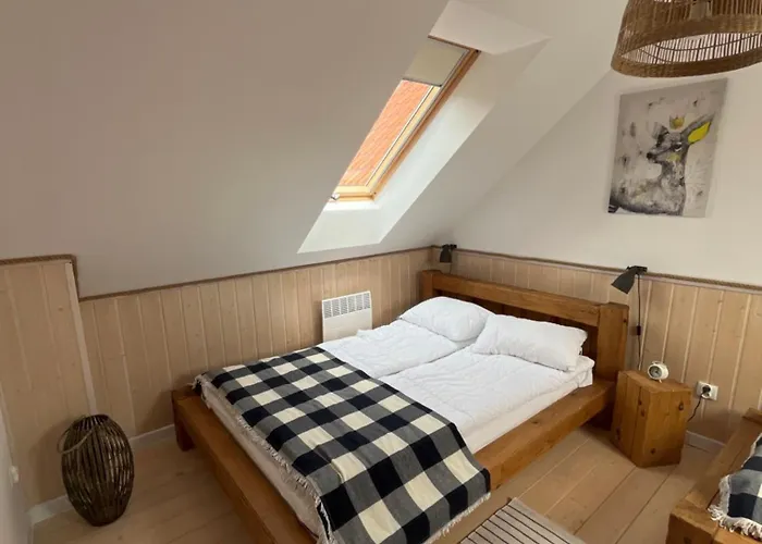 度假居 Dom Nad Jeziorem *