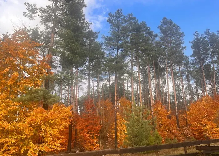 Dom Nad Jeziorem 度假居 Borowy Mlyn