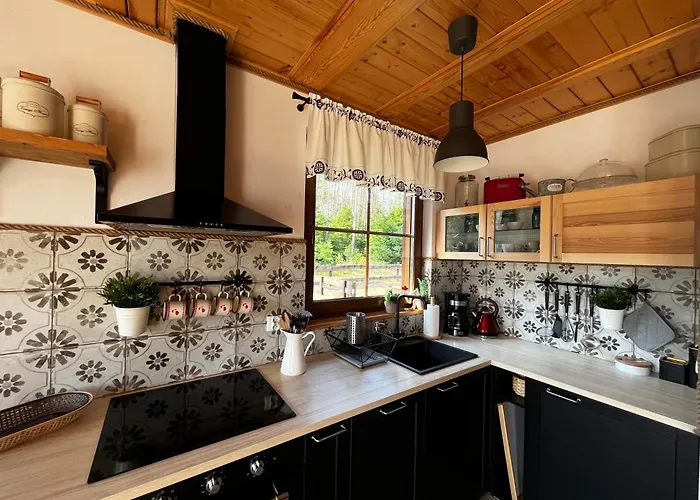 Dom Nad Jeziorem Borowy Mlyn